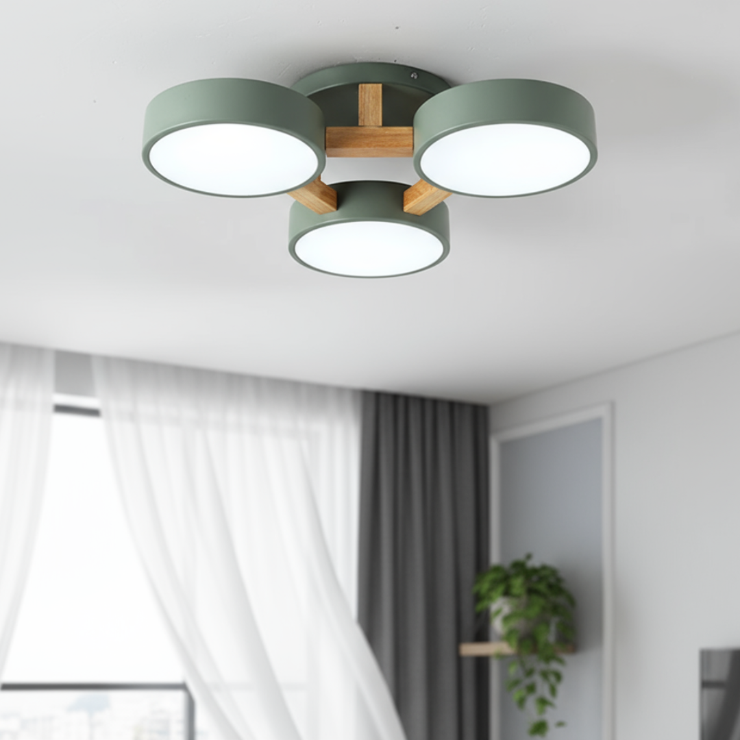 Ceiling Light LED Flush Mount