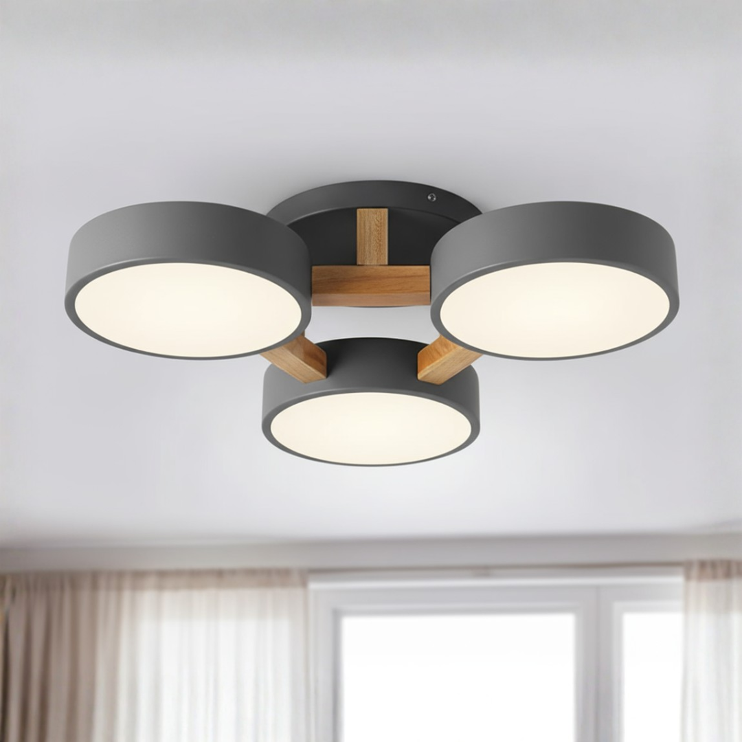 Ceiling Light LED Flush Mount